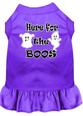 Here For The Boos Screen Print Dog Dress Purple Xl (16)